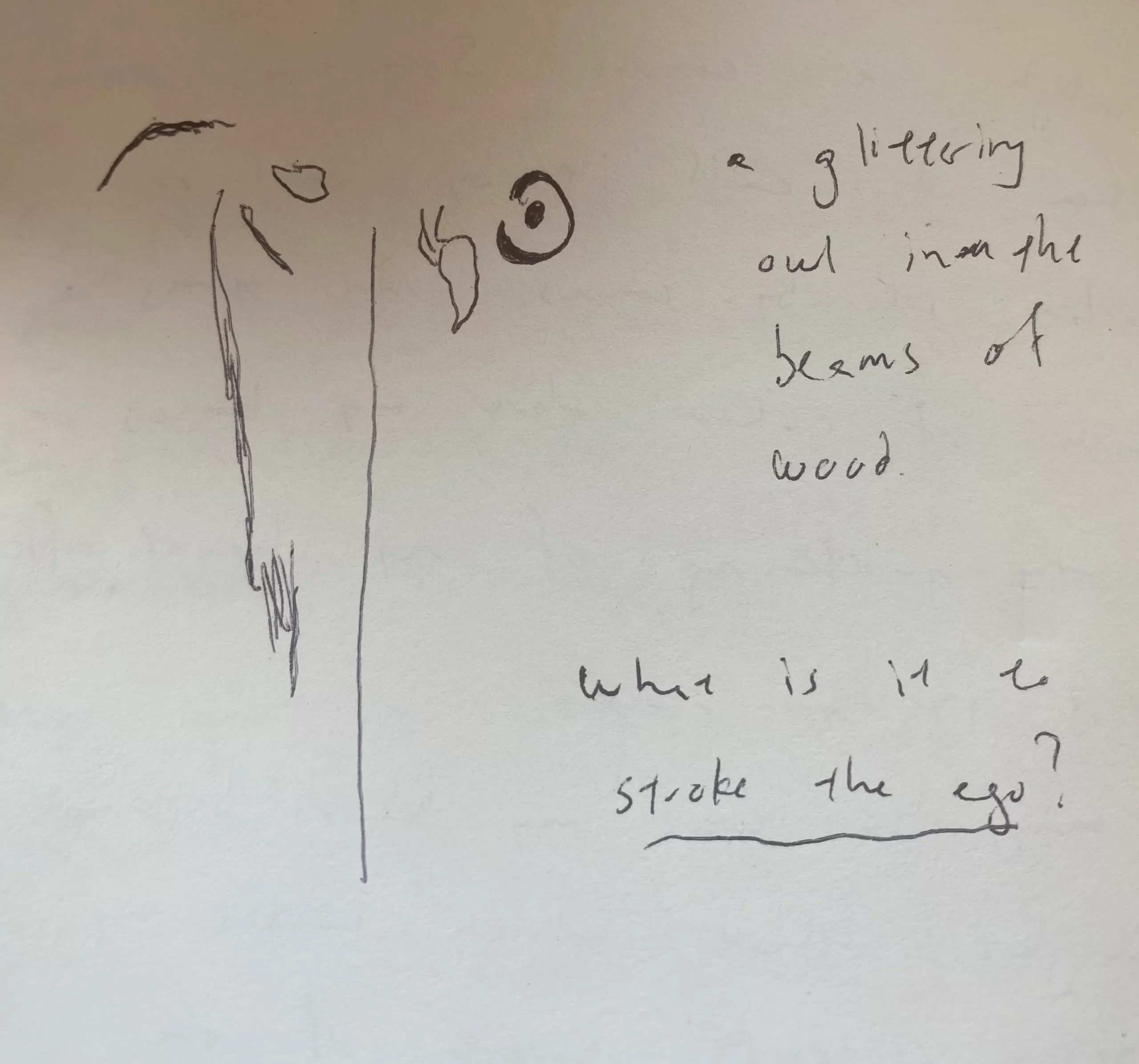 Magic owl in the beams